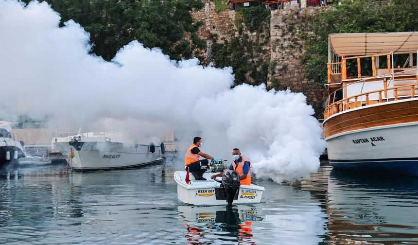 Antalya’da vektörel mücadelede kapsam genişletildi: Hem karada hem denizde müdahale