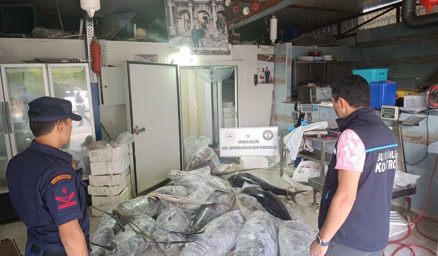 Antalya'da kaçak balık operasyonu: 603 kilogram yasaklı ürüne el konuldu