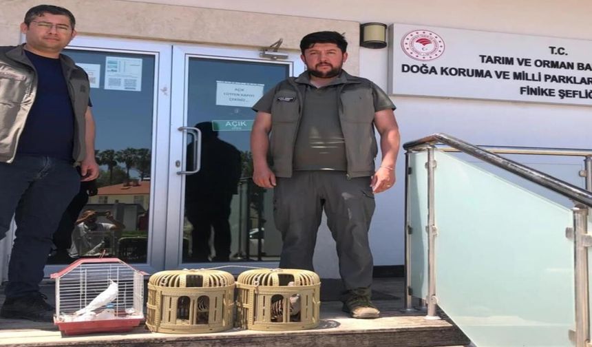Antalya’da sosyal medya ihbarı sonuç verdi: Kuşlara el konuldu
