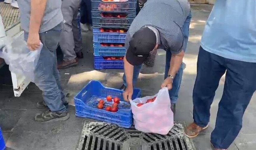 Antalya’da üretti, 5 liraya satılmadı: 4 ton domatesi bedava dağıttı