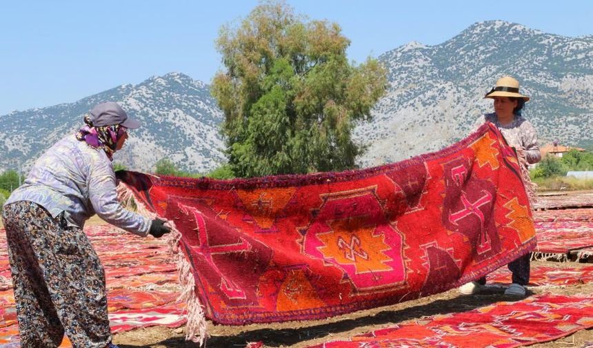 Antalya'daki halı tarlası turistleri ağlattı: Gören gözlerine inanamıyor