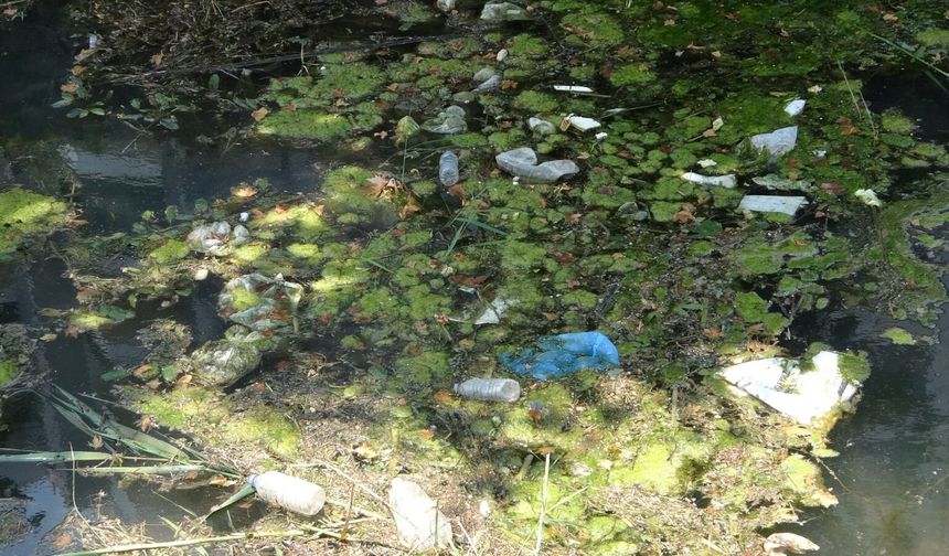 Antalya Körfezi’nde görüş azaldı, sebebi ise dikkat çekti