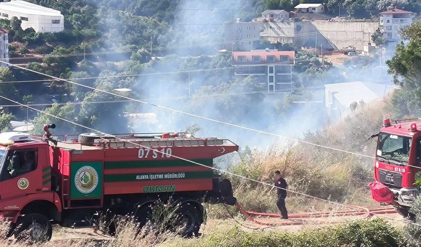 Alanya Değirmendere’de yangın: 1 dönümlük alan zarar gördü