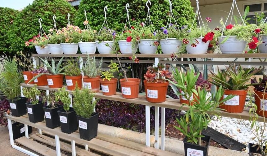 Kepez’den çevre dostu proje: Bahçe Market geliyor
