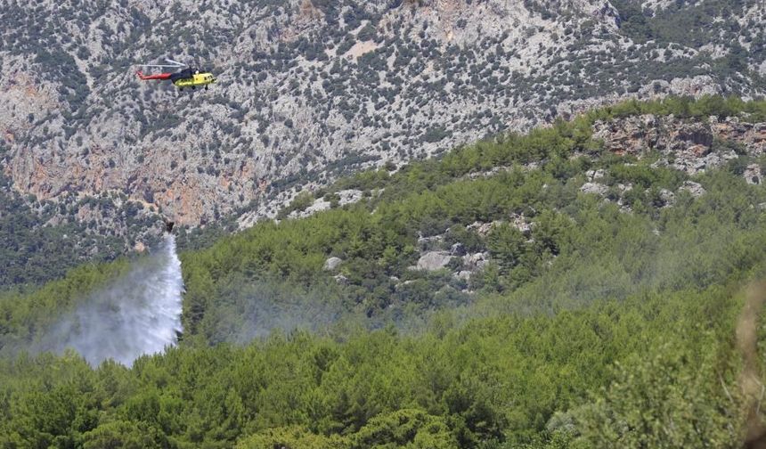 Konyaaltı’nda orman yangını: Hızlı müdahale felaketi önledi