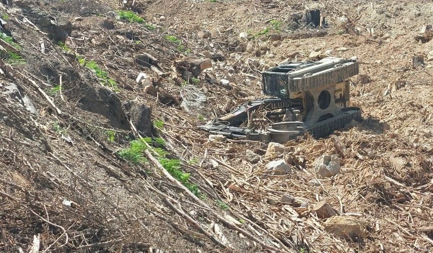 Orman sahasında acı kaza: Bir ç*cuk babası operatör hayatını kaybetti