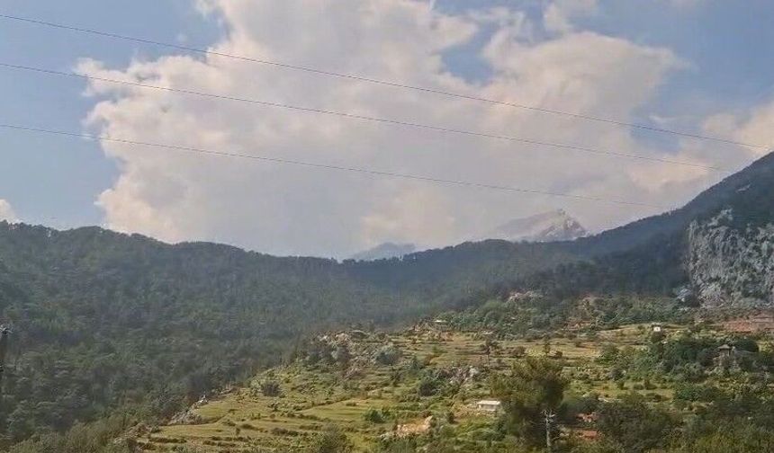 Serik’te ormana düşen yıldırım yangına yol açtı: 2 hektarlık alan zarar gördü