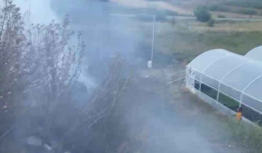 Serik'te yangın seralara metreler kala söndürüldü