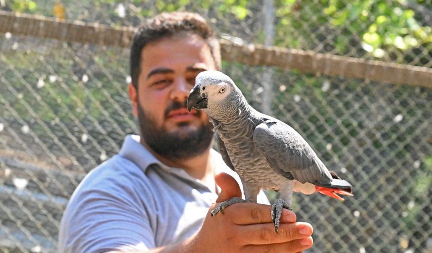 Antalya Doğal Yaşam Parkı yeni üyeleriyle şenlendi