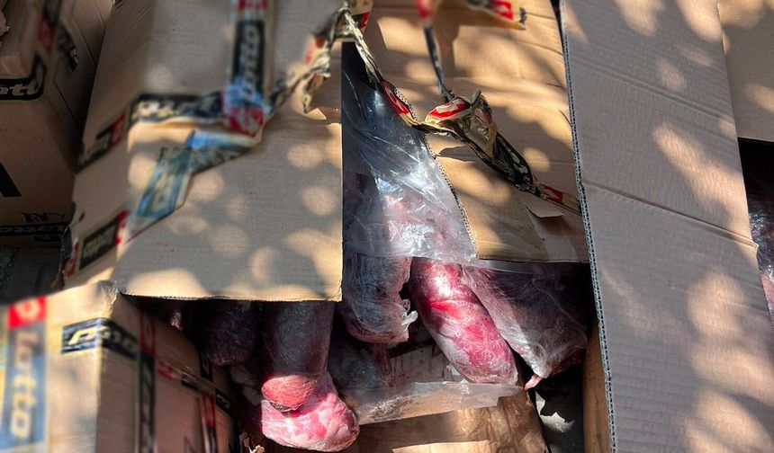 Alanya'da şoke eden görüntü! 300 kilogram sağlıksız ete el konuldu