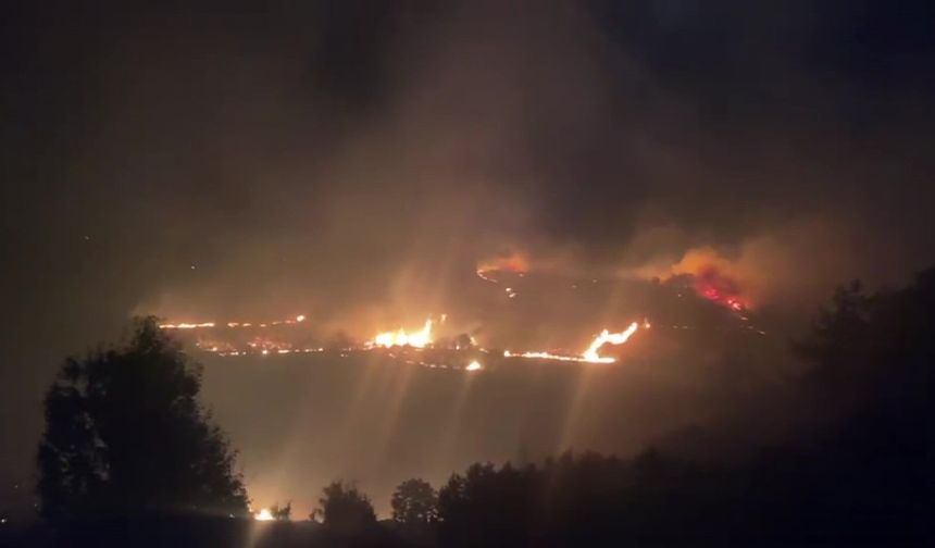 Antalya’da korkutan yangın! Vatandaşlar traktörleriyle müdahale etti