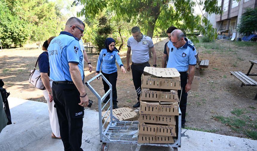 Antalya otogarında şoke eden görüntü! Otobüsteki 700 canlıya el konuldu