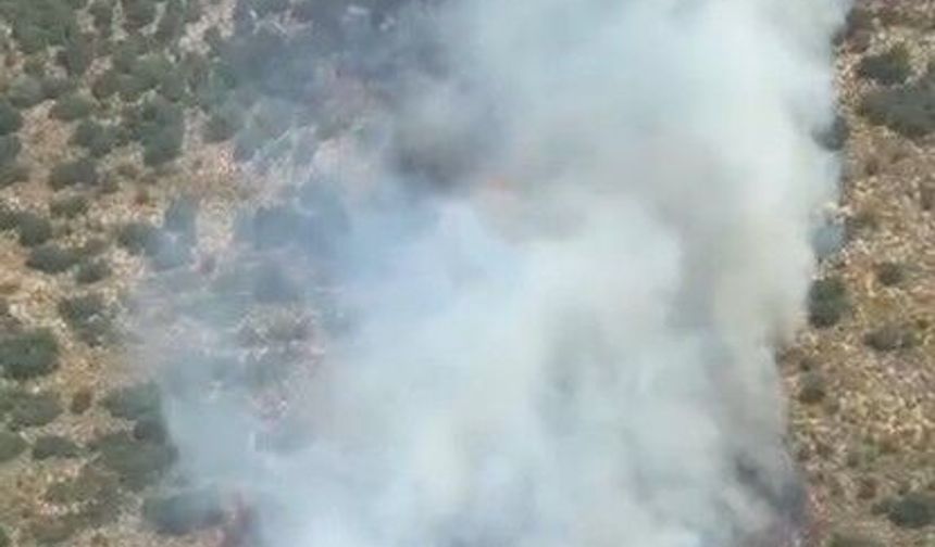 Demre'de orman yangını! Havadan ve karadan yoğun müdahale