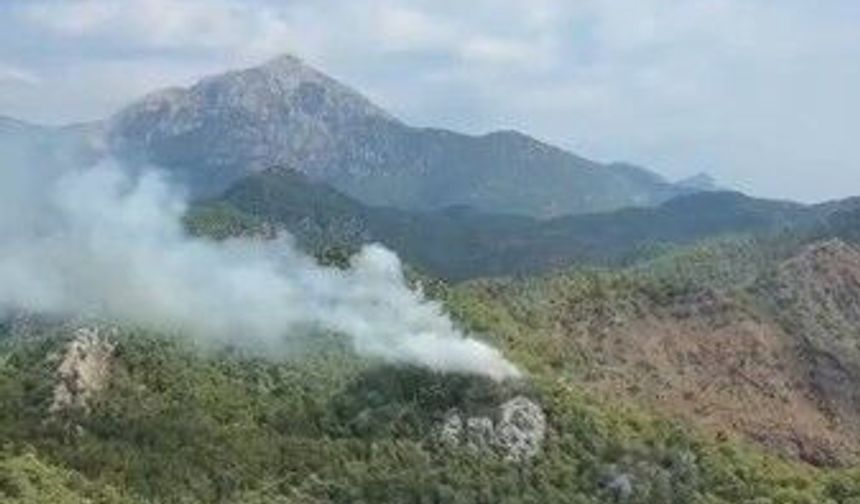 Antalya'da orman yangını paniği! Kemer'de ekipler seferber oldu