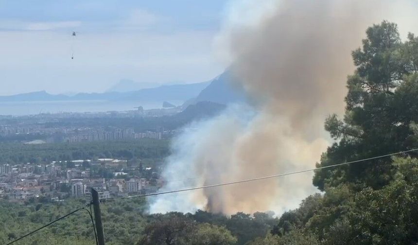 Antalya’da orman yangını! Ekipler havadan ve karadan müdahale edildi