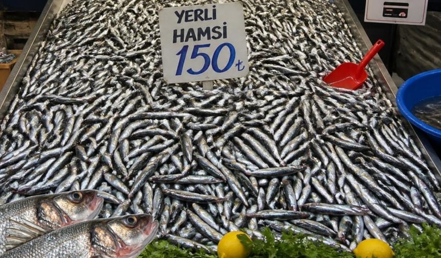 Karadeniz sezonu açtı, Antalya gün sayıyor, yasak ne zaman kalkıyor?