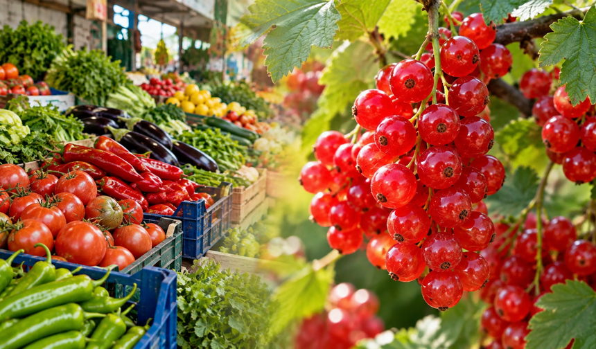 Antalya Hali’nde en yüksek fiyat 1.520 TL! İşte 22 Eylül listesi