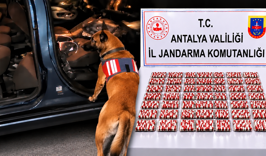 32 ilde dev operasyon: 298 tutuklama! Antalya da listede