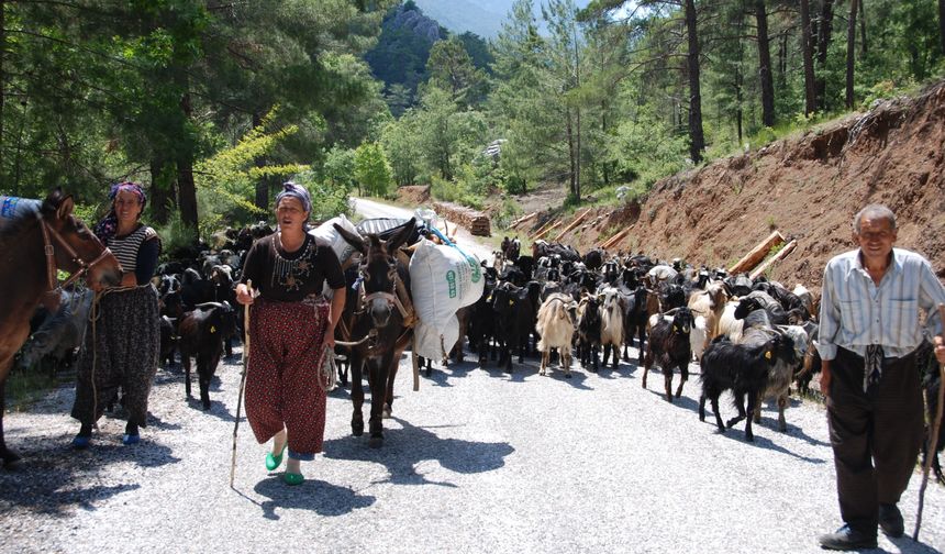 Antalya’da Yörüklerin göçü başladı