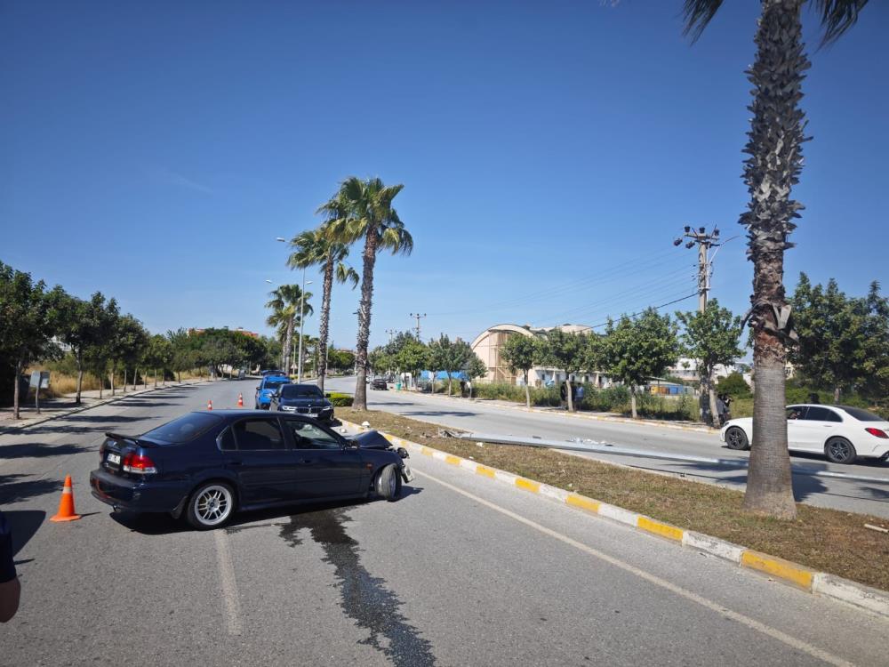 Antalyadakazadiregecarparak