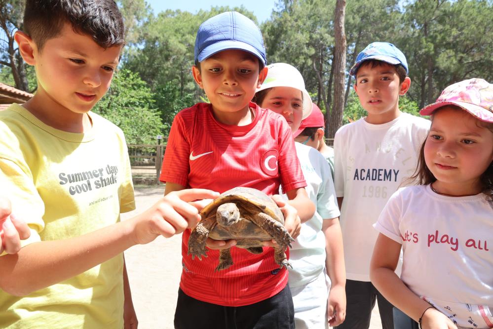 Antalyadaminiklerdenyavashayvanaziyaret