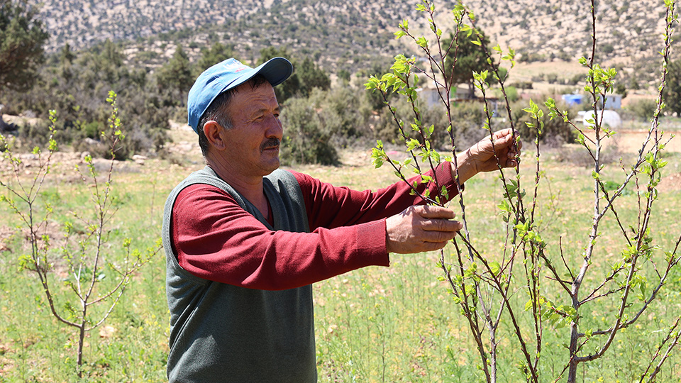 Antalyasulamaatağibegissusuzu