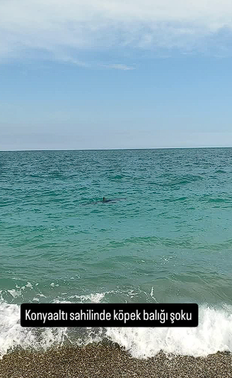 Ekran Görüntüsü 2025 05 06 122523