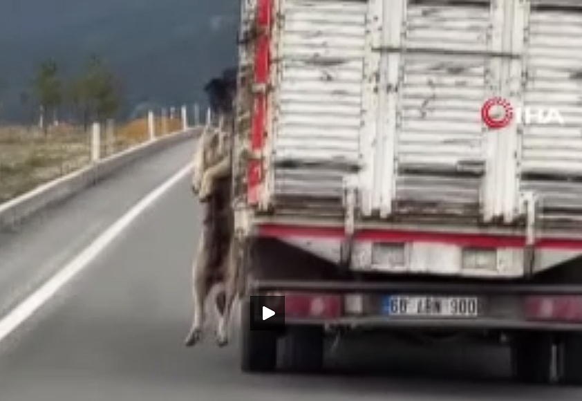 Ekran Görüntüsü 2025 05 06 124056