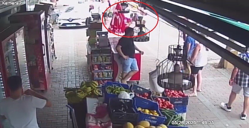 Hirsizkactituristkovaladi