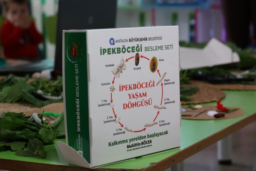 Ipekbocegitanitimveuretim