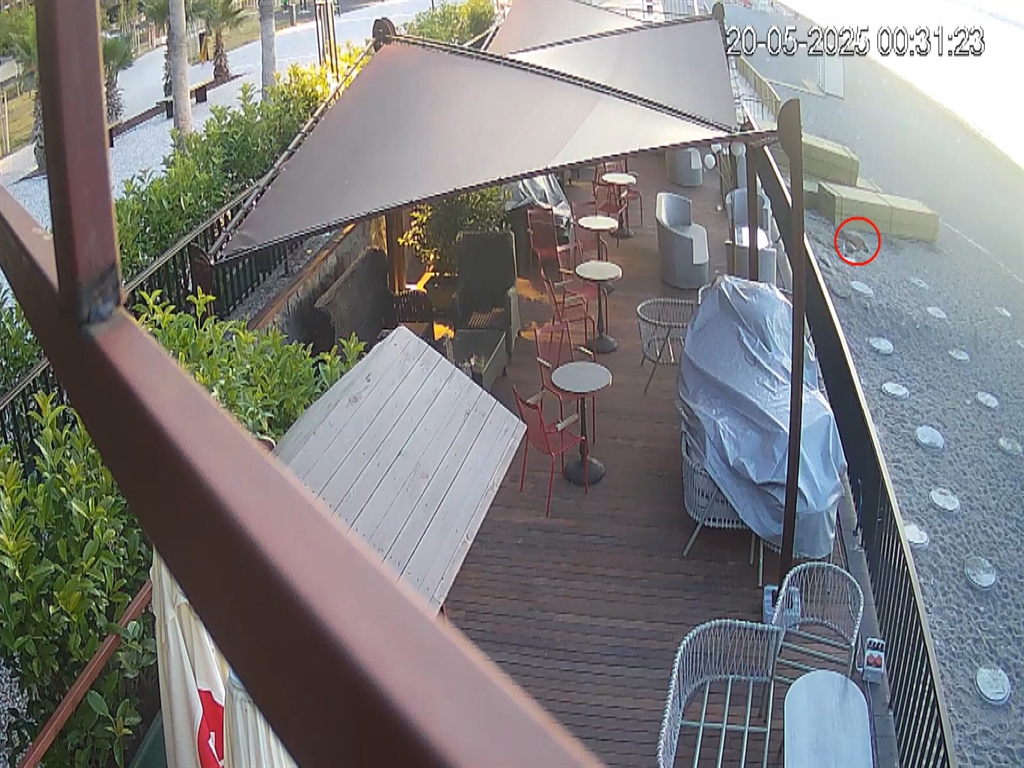 Konyaaltisahilinicaretta