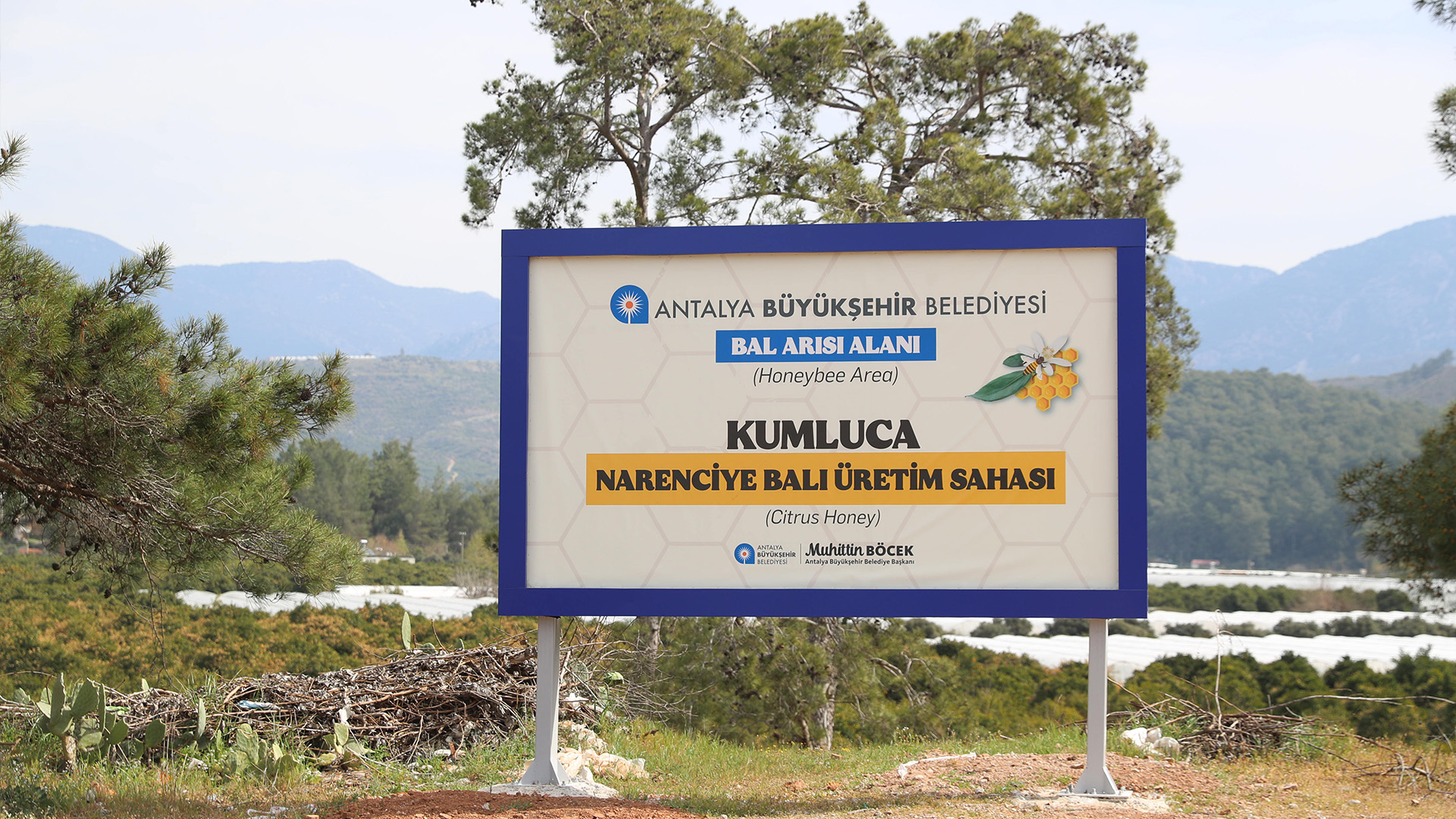 Narenciye Balı Koruma Altında