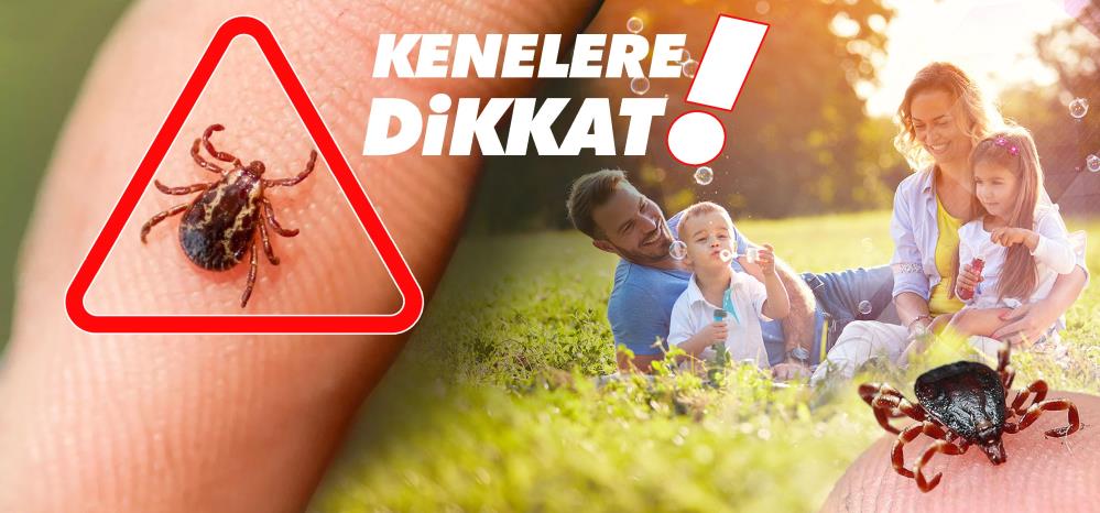 Sakindokumnayinvirusbulasabilir