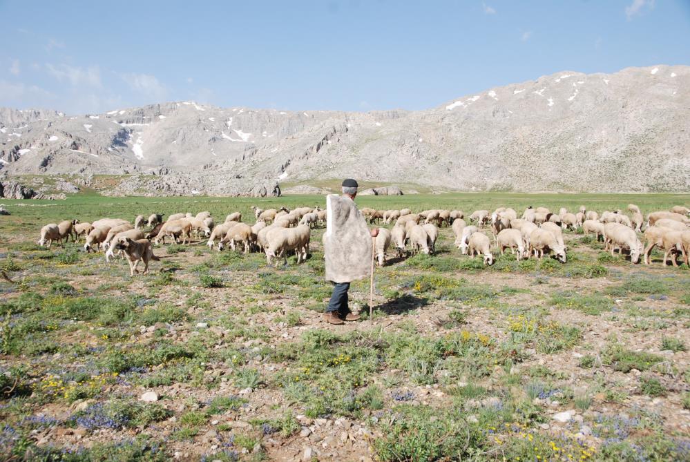 Yorukleringocubasladi