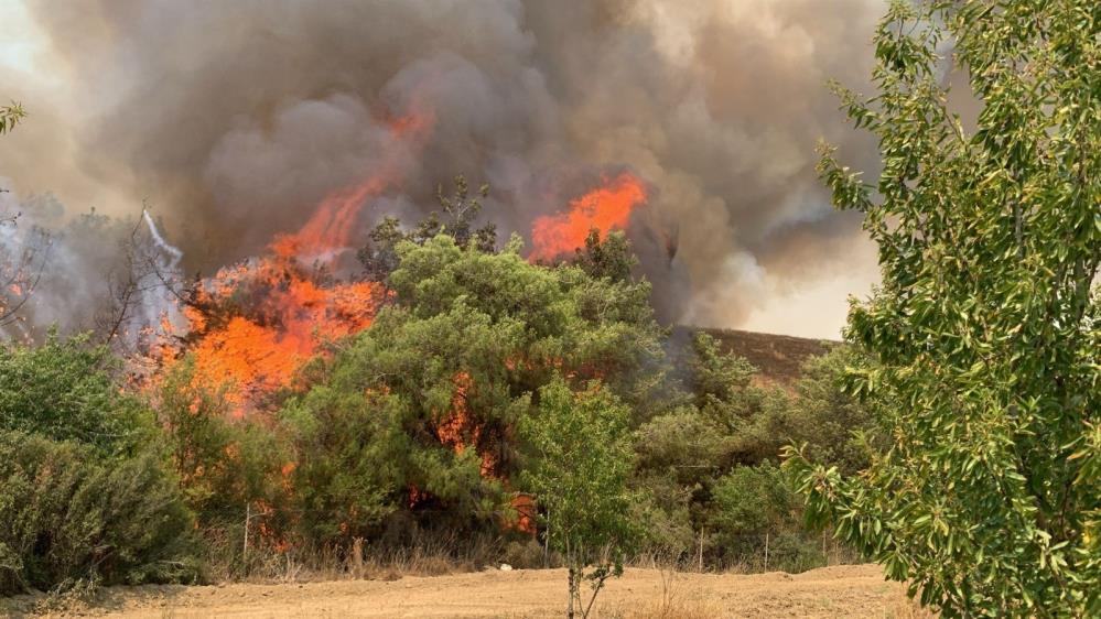 Adanadakiormanyangınlarında7Suphelitutuklandı