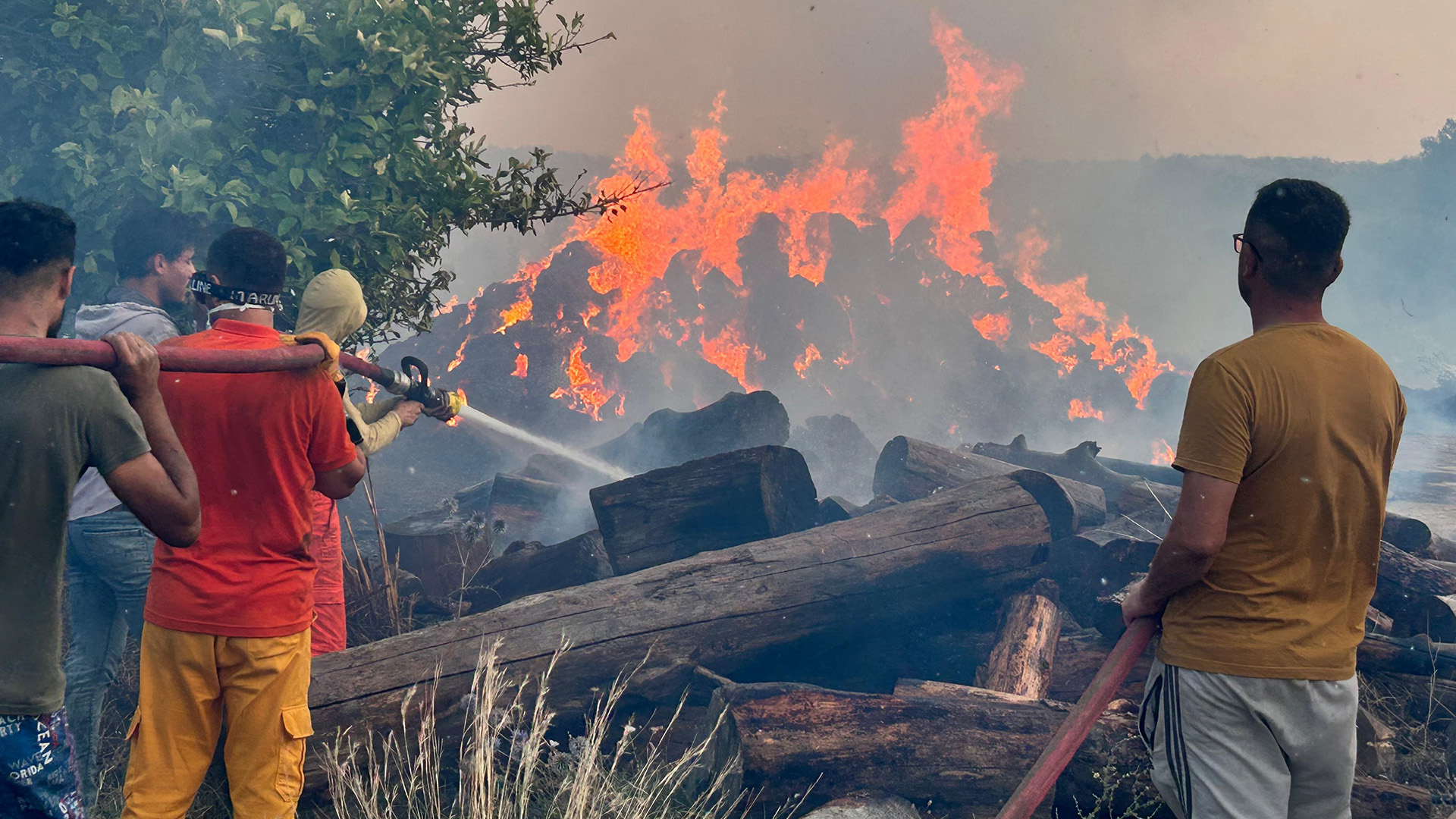 Aksuda8Hektaralankuledondu1