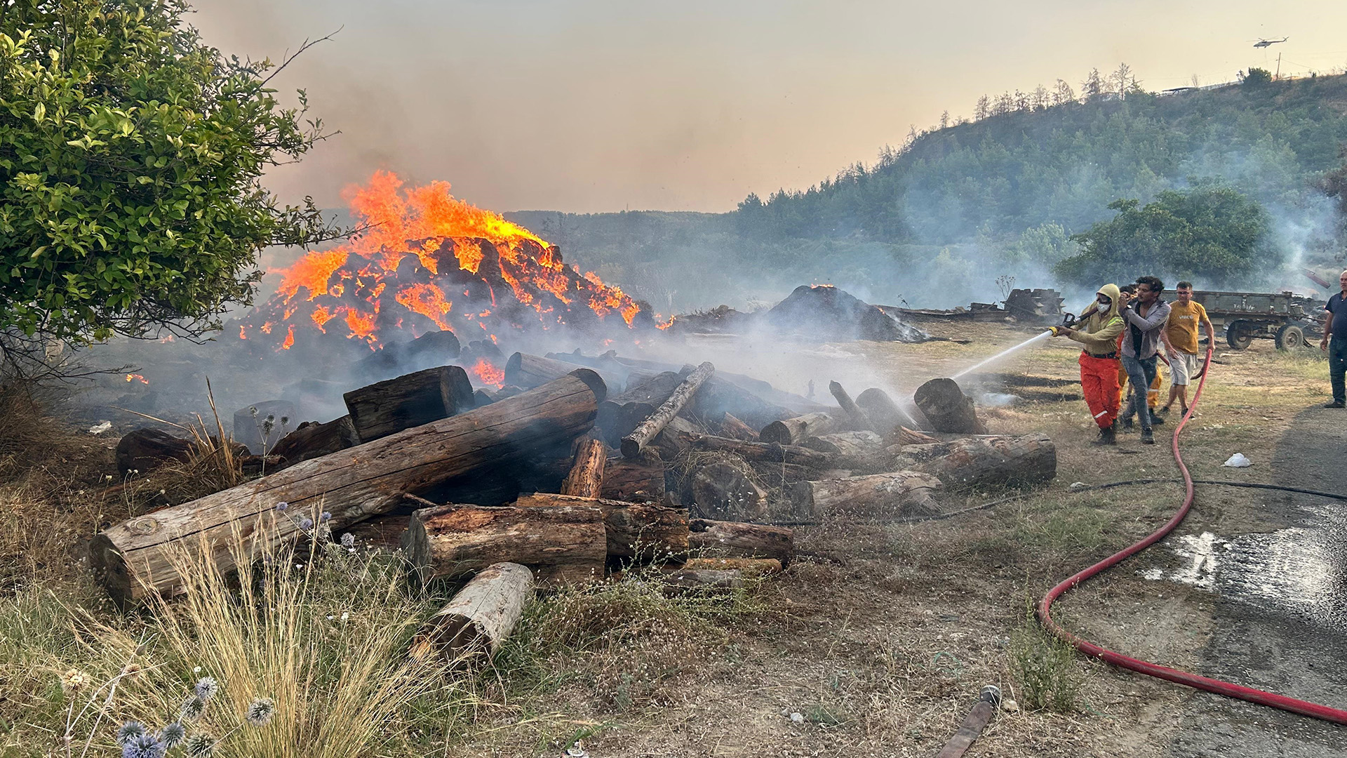 Aksuda8Hektaralankuledondu2