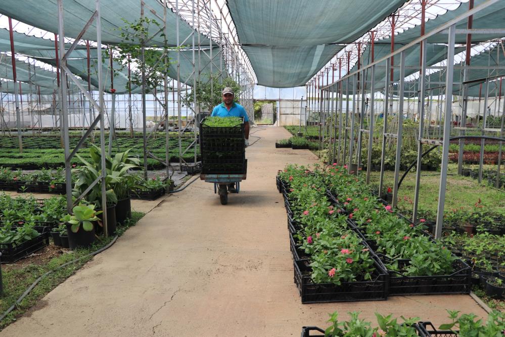 Alanyabelediyesibubayramdaucretsizdagitacak