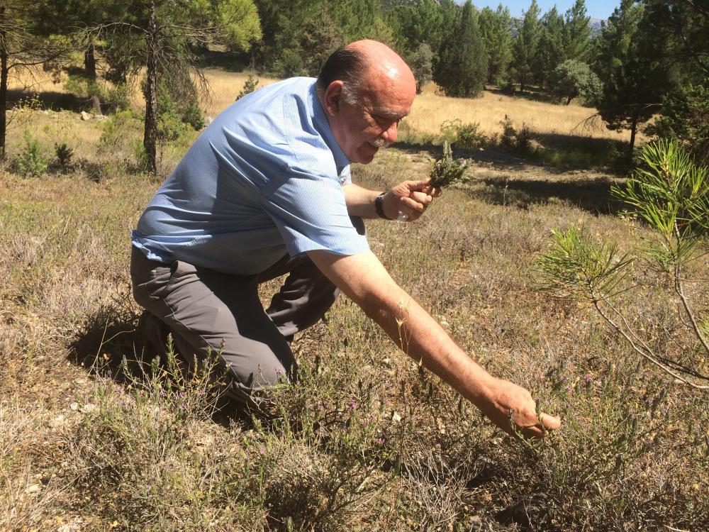 Antalya’daevininodasınılabaratuvaraçevirdikekiküzerineçalışıyor