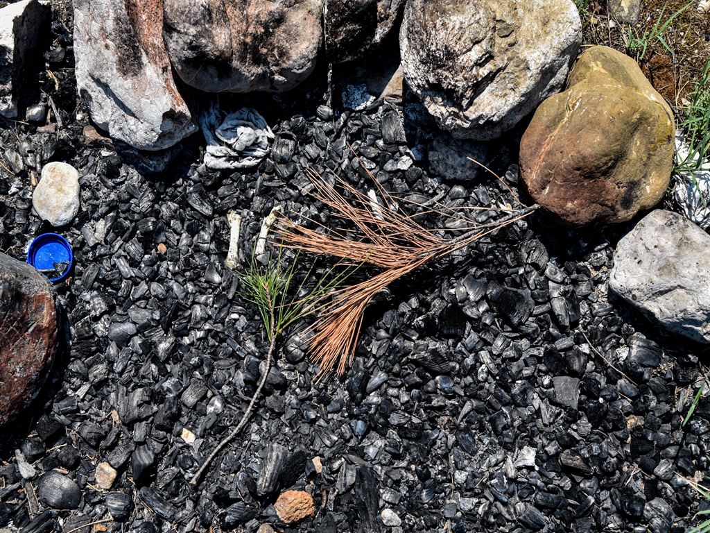 Antalyadayasagicignedileristekanitlar