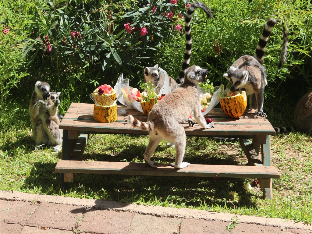 Antalyadayazsicaklarindanbuzlukacis