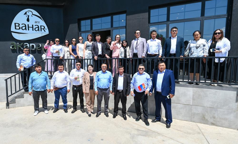 Antalyamogolistanisbirligi