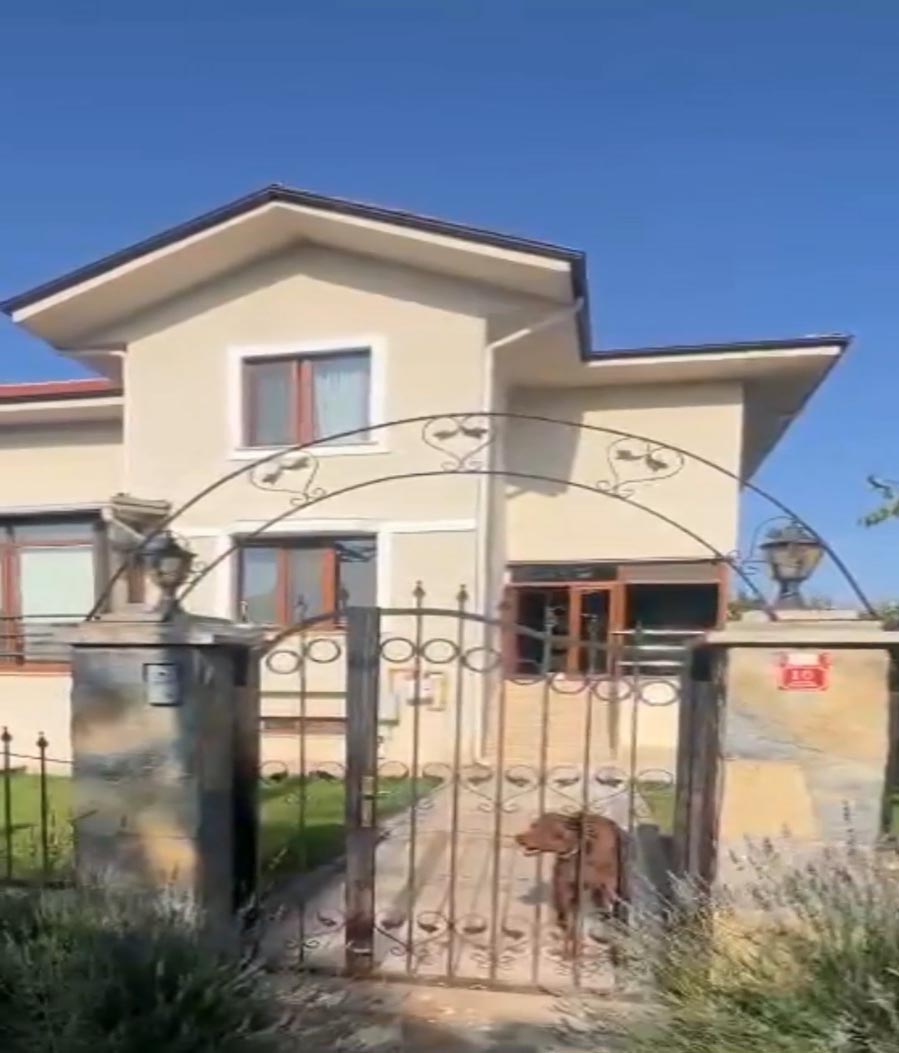 Aranıyorduodunlarınarasındancıktı