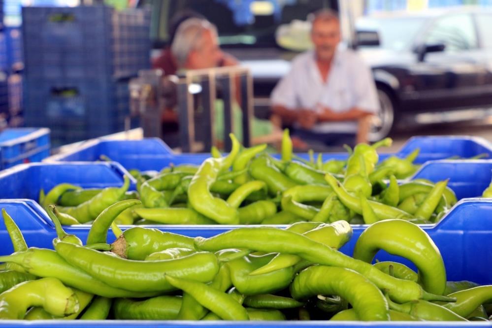 Atbmayıshalendeksiacıklandımeyvede10Yılınensertdususufiyattarekorartıs