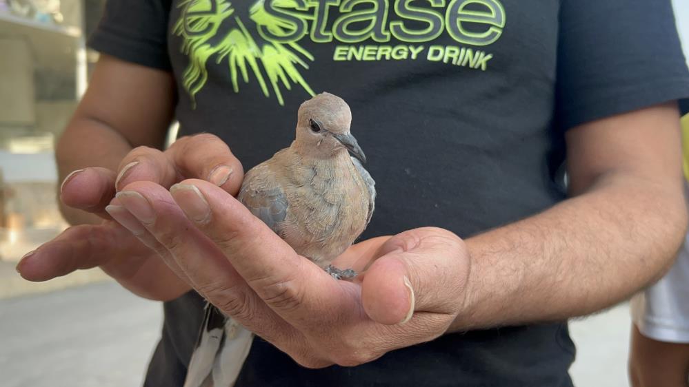 Bitkindusenkumruyayardim