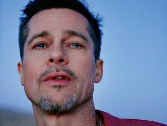 Bradpittinevinitalanettiler