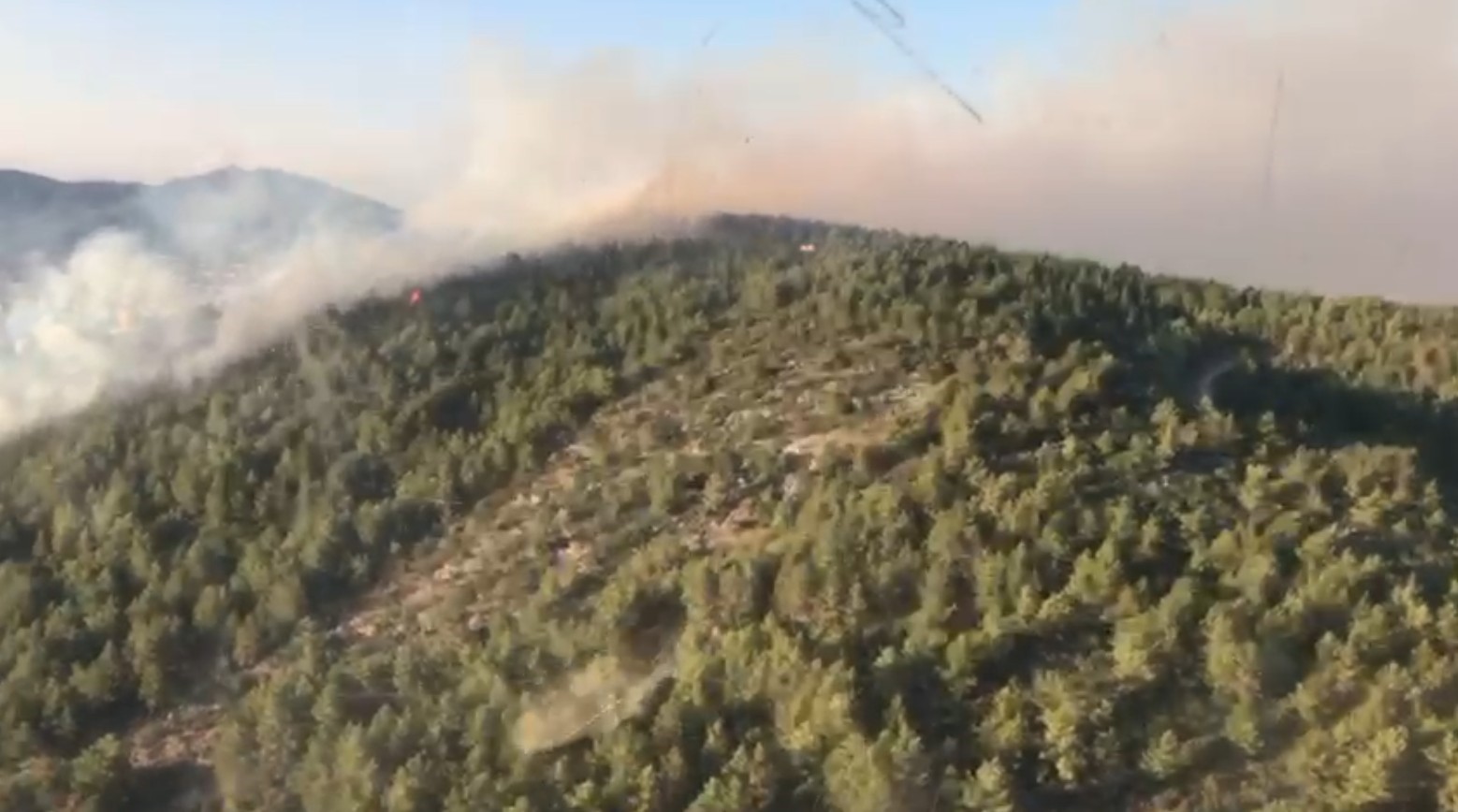 Gazipasadakorkutanyangin