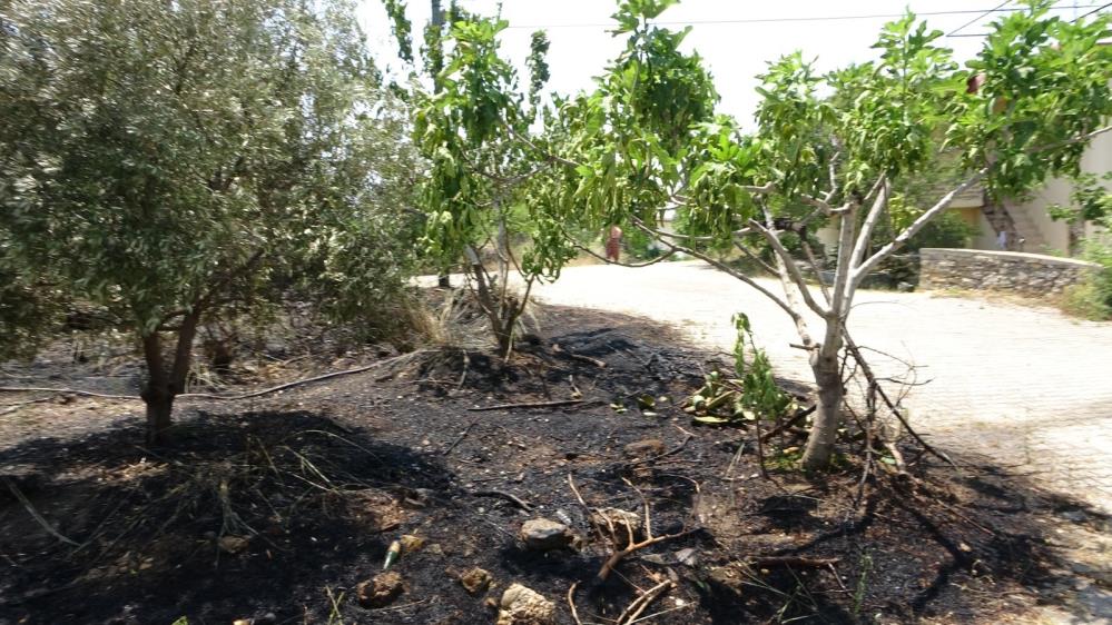 Ihmalyanginanedenoldu