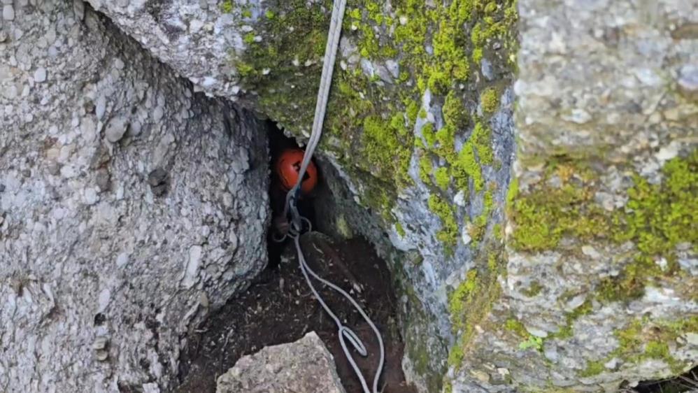 Kayipkecimahsurkaldigiyerdenkurtarildi