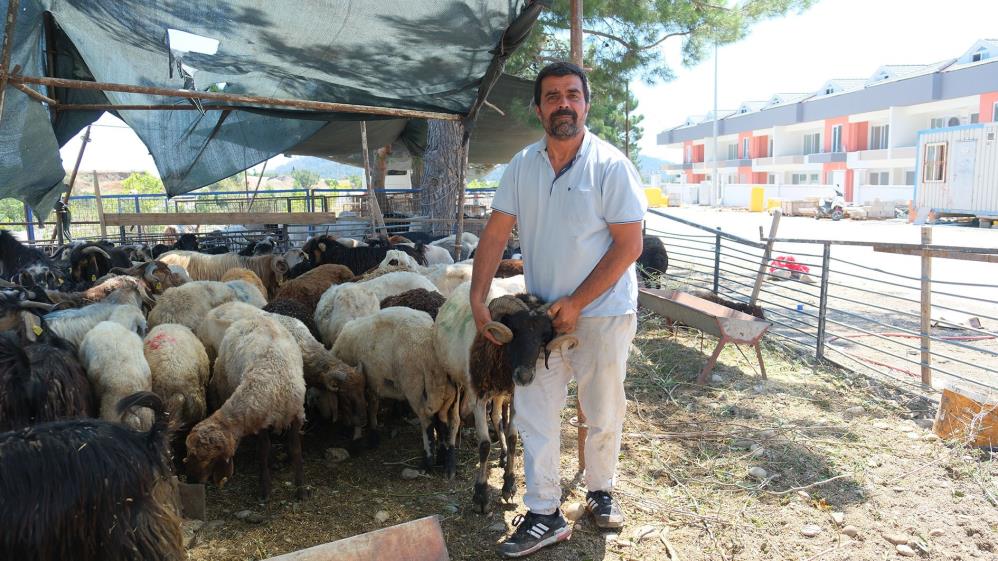 Kemerdeekiplerdenkurbandenetimi